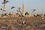 Hazrat Fatima (SA) an Exemplary Character to the World