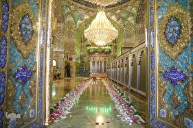 گلباران حرم مطهر امین ولایت