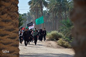 فیلم | پیاده‌روی اربعین و رسمی به نام دلدادگی