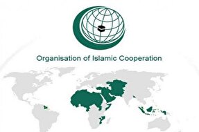 سازمان همکاری اسلامی و موضع‌گیری در برابر تبعیض علیه مسلمانان