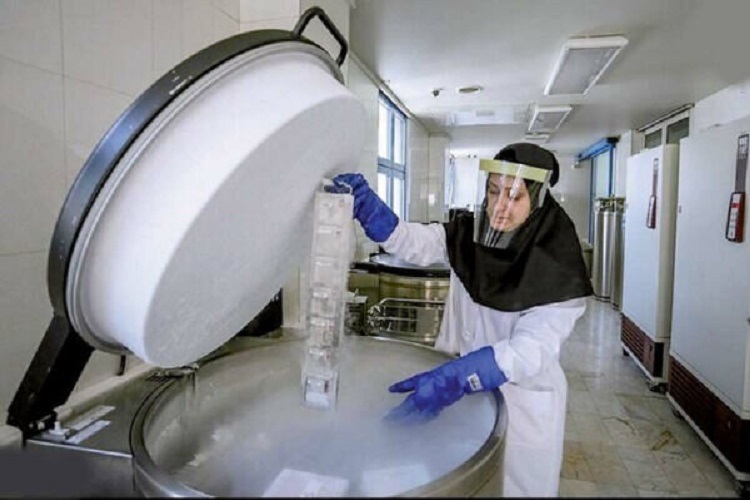 بانک خون بند ناف، آذربایجان شرقی بانک خون بند ناف، آذربایجان شرقی