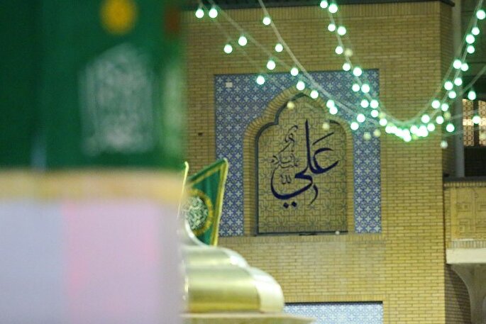 عکس | نقش نام زیبای امیرالمومنین(ع) بر در و دیوار حرم بانوی کرامت