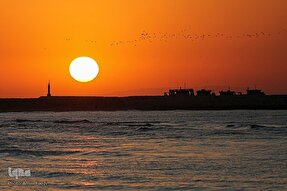 هویت ایران + فیلم