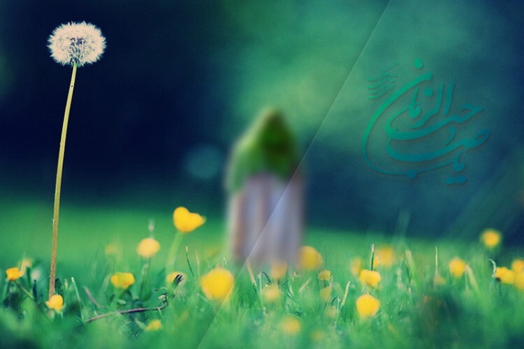 حکومت مهدوی حکومت مهدوی