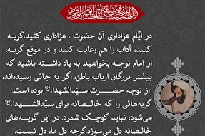 فتوتیتر | گریه‌ها را کوچک نشمارید