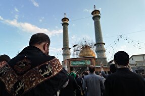 فیلم | ارادت قدیمی