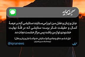 طرح | تو را می‌ستایند