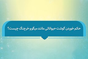 فتوتیتر | حکم شرعی خوردن گوشت میگو و خرچنگ