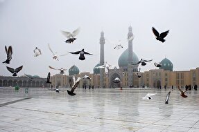 استوری‌موشن | به فریادم برس