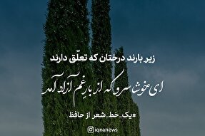 طرح | خوشا سرو