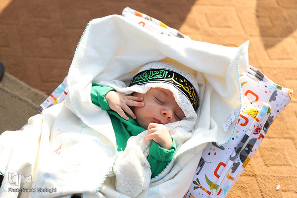 همایش شیر خوارگان حسینی‎‎