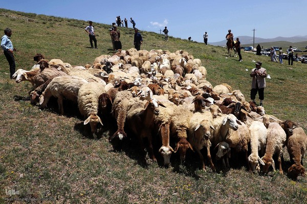 گزارش تصویری از: جشنواره فرهنگی، ورزشی و گردشگری روستای جوبند در شهرستان اهر 
