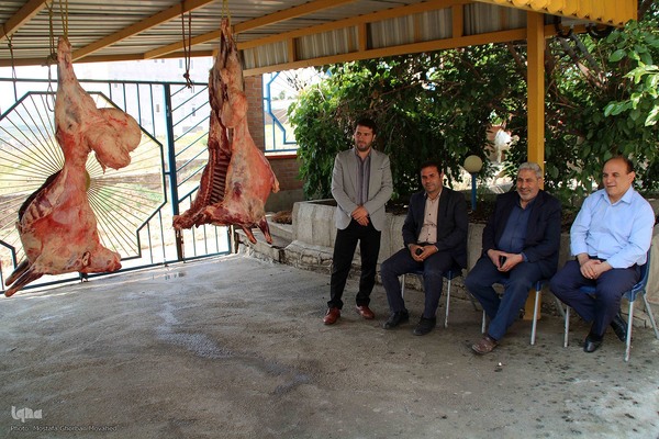  ذبح و توزیع گوشت ۵۰ رأس دام به مناسبت عید سعید قربان بین نیازمندان شهرستان اهر 
