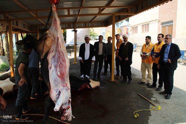  ذبح و توزیع گوشت ۵۰ رأس دام به مناسبت عید سعید قربان بین نیازمندان شهرستان اهر 
