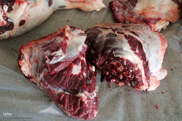  ذبح و توزیع گوشت ۵۰ رأس دام به مناسبت عید سعید قربان بین نیازمندان شهرستان اهر 
