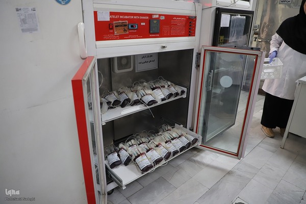 نذری به زیبایی بخشیدن حیات