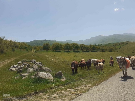 طبیعت بکر و زیبای منطقه گردشگری فندقلوی اهر