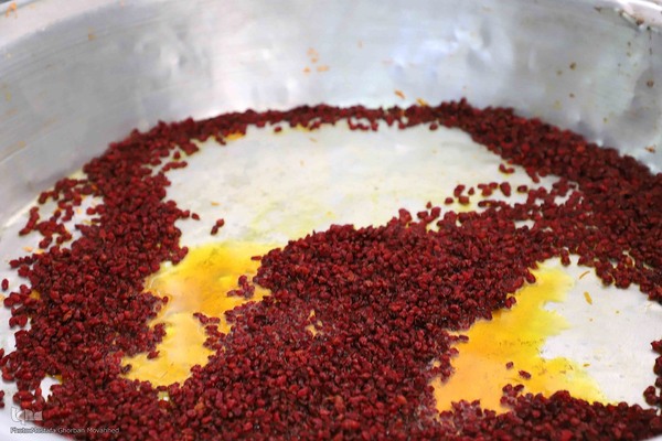 برگزاری مراسم سنتی عزاداری اربعین حسین در روستای خونیق شهرستان اهر