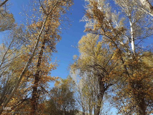 رنگ آمیزی طبیعت در مناطق روستایی شهرستان اهری