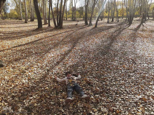 رنگ آمیزی طبیعت در مناطق روستایی شهرستان اهری