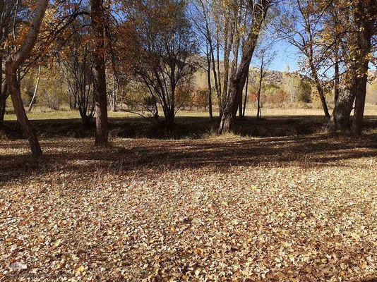 رنگ آمیزی طبیعت در مناطق روستایی شهرستان اهری