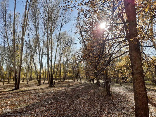 رنگ آمیزی طبیعت در مناطق روستایی شهرستان اهری