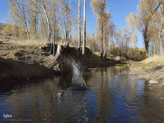 رنگ آمیزی طبیعت در مناطق روستایی شهرستان اهری