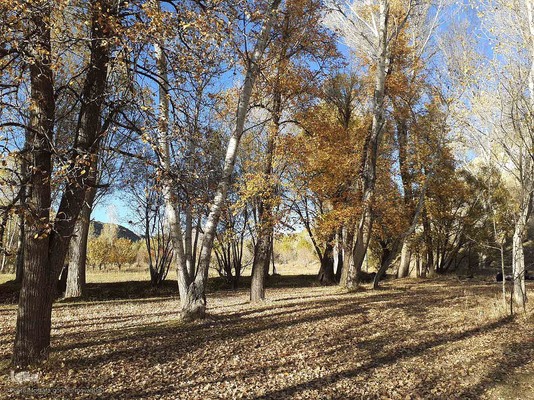 رنگ آمیزی طبیعت در مناطق روستایی شهرستان اهری