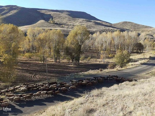 رنگ آمیزی طبیعت در مناطق روستایی شهرستان اهری