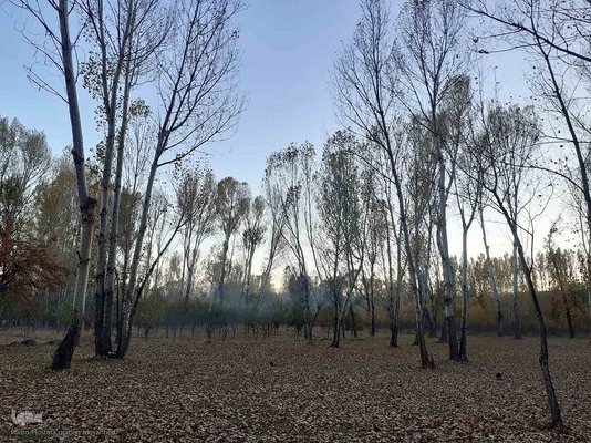 رنگ آمیزی طبیعت در مناطق روستایی شهرستان اهری