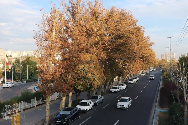 طبیعت پاییزی تبریز