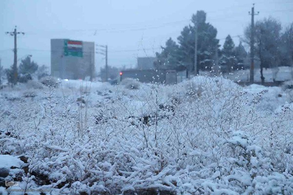 بارش برف در شهرستان اهر
