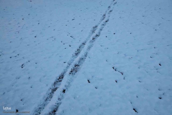 بارش برف در شهرستان اهر