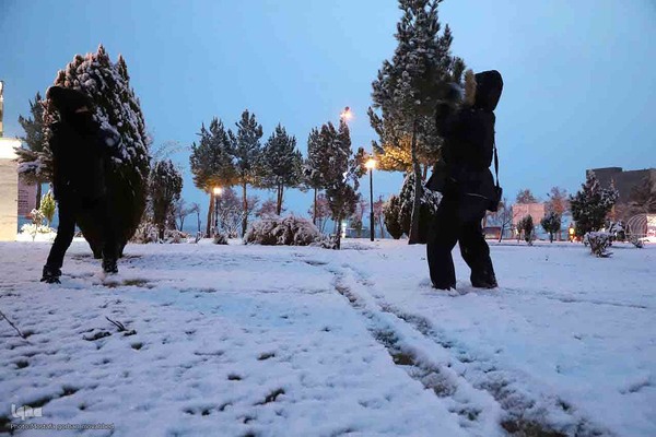بارش برف در شهرستان اهر