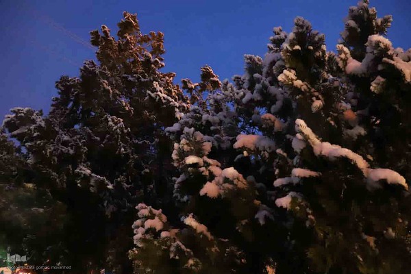 بارش برف در شهرستان اهر