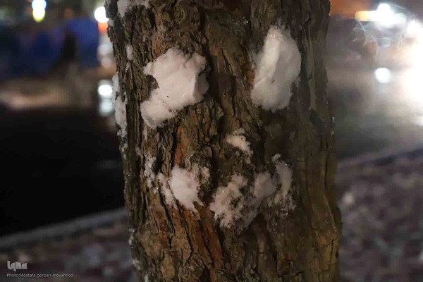 بارش برف در شهرستان اهر