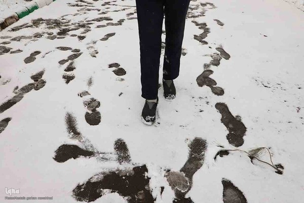 بارش برف در اهر