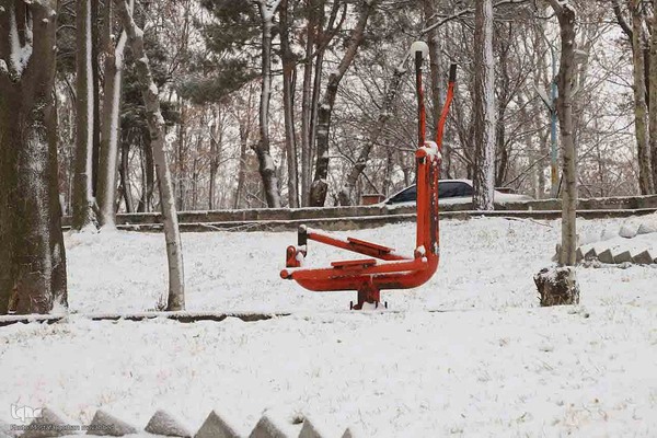 بارش برف در اهر
