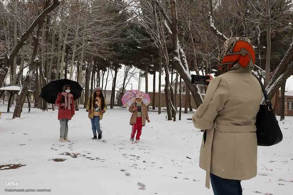 بارش برف در اهر