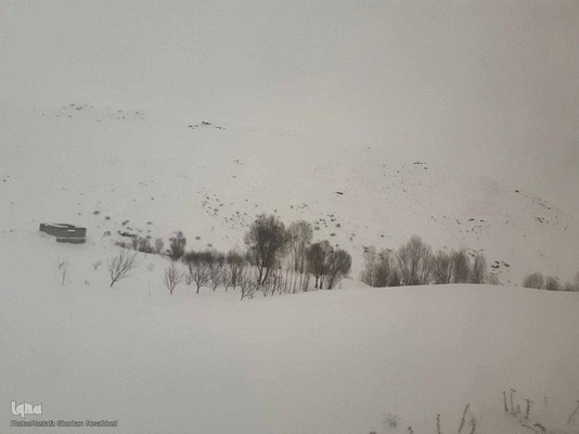 طبیعت برفی مناطق شهری و روستایی اهر