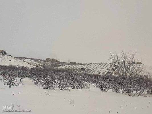 طبیعت برفی مناطق شهری و روستایی اهر