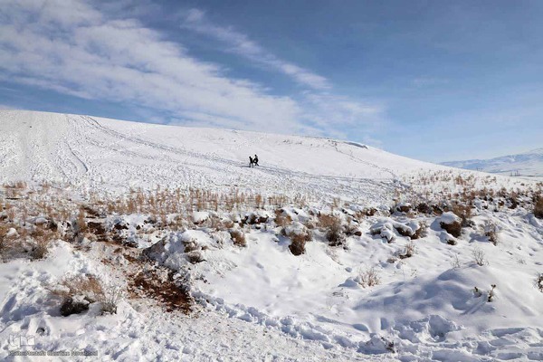 تیوپ سواری در ارتفاعات برفی اهر