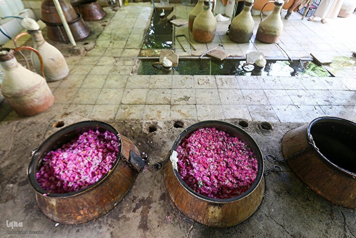 Yadda ake samar da ruwan wardi a Niyar Iran
