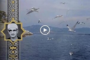 د قاف سورې تلاوت د منشاوي په زړه پورې غږ سره   