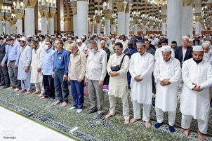 د حج په شپو ورځو کې د مسجد النبی  ولوله او پرتم
