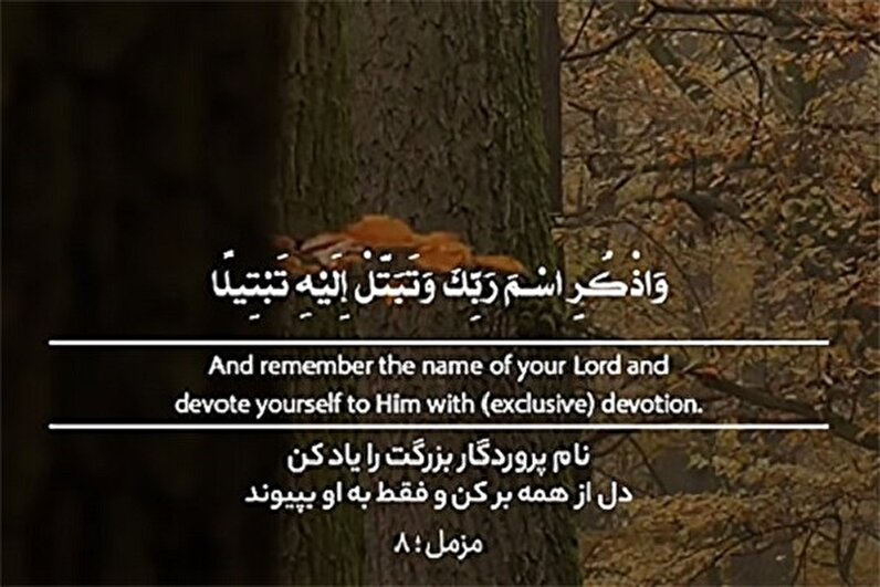 Освободи своё сердце от всего