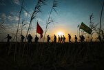 Mwanazuoni afungamanisha matembezi ya Arbaeen na misingi ya ustaarabu wa Kiislamu